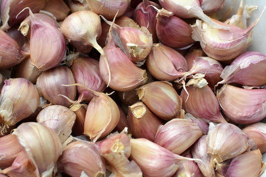 Czosnek: Niezastąpiony element w każdej kuchni